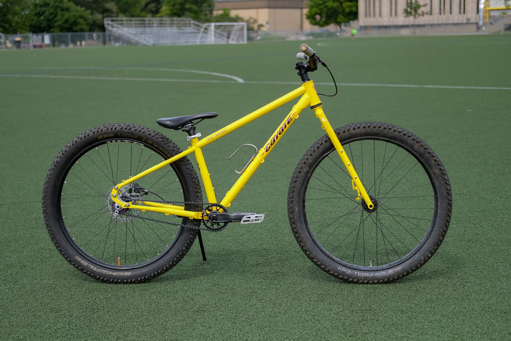 Jo's Bassi Coyote