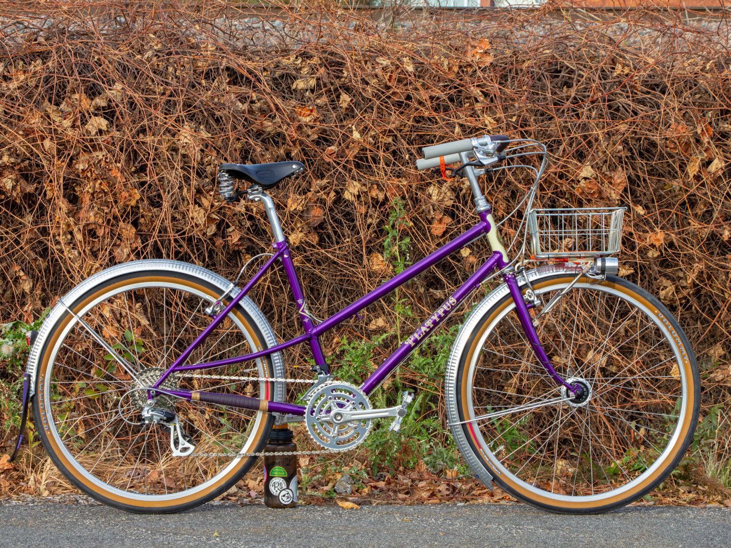 Liz's Purple Platypus