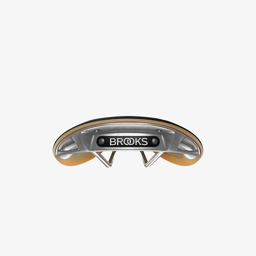 Brooks Cambium C17 Special Saddle
