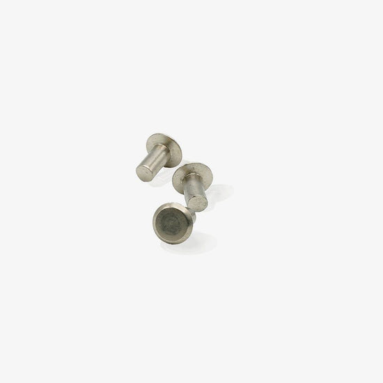 Brooks Saddle Rivets