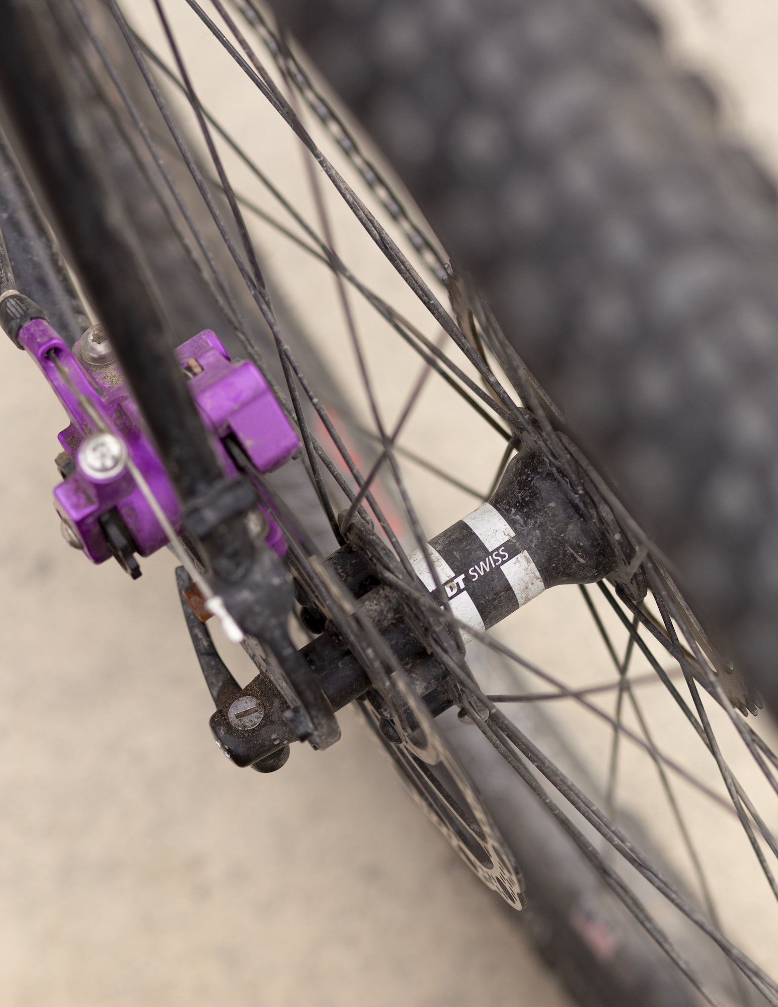 DT Swiss 350 Classic Rear Hub