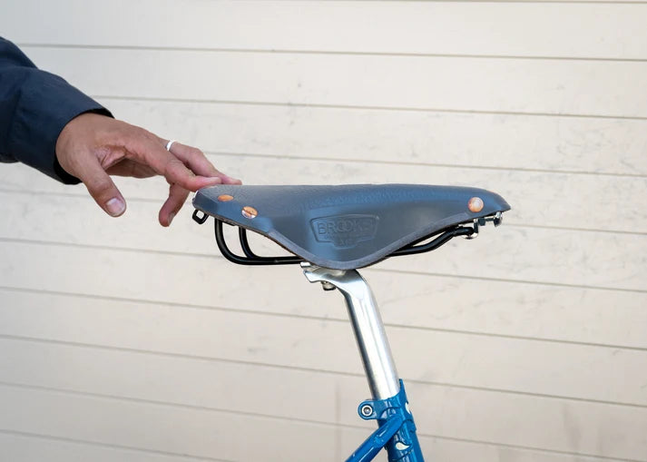 Brooks Saddle B17 RBW Special