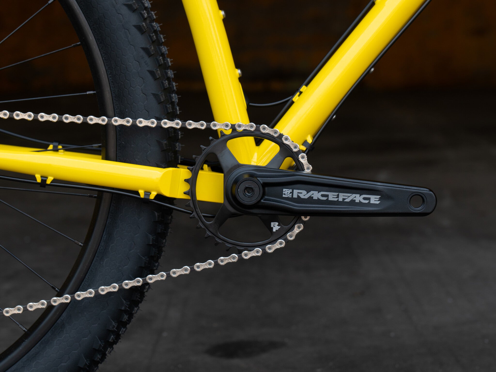 Bassi Coyote Complete Bicycle