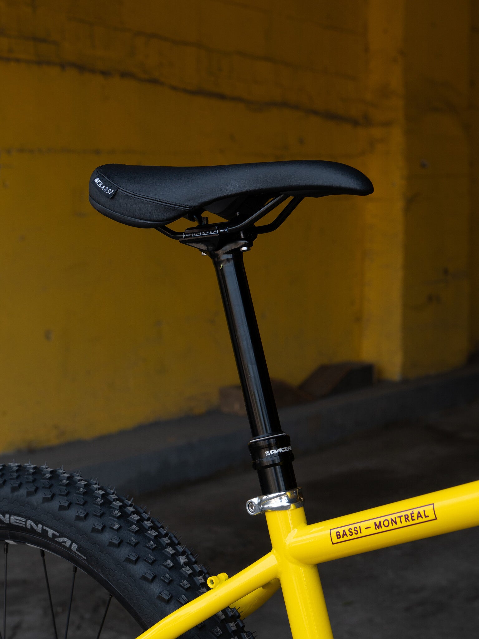Bassi Coyote Complete Bicycle