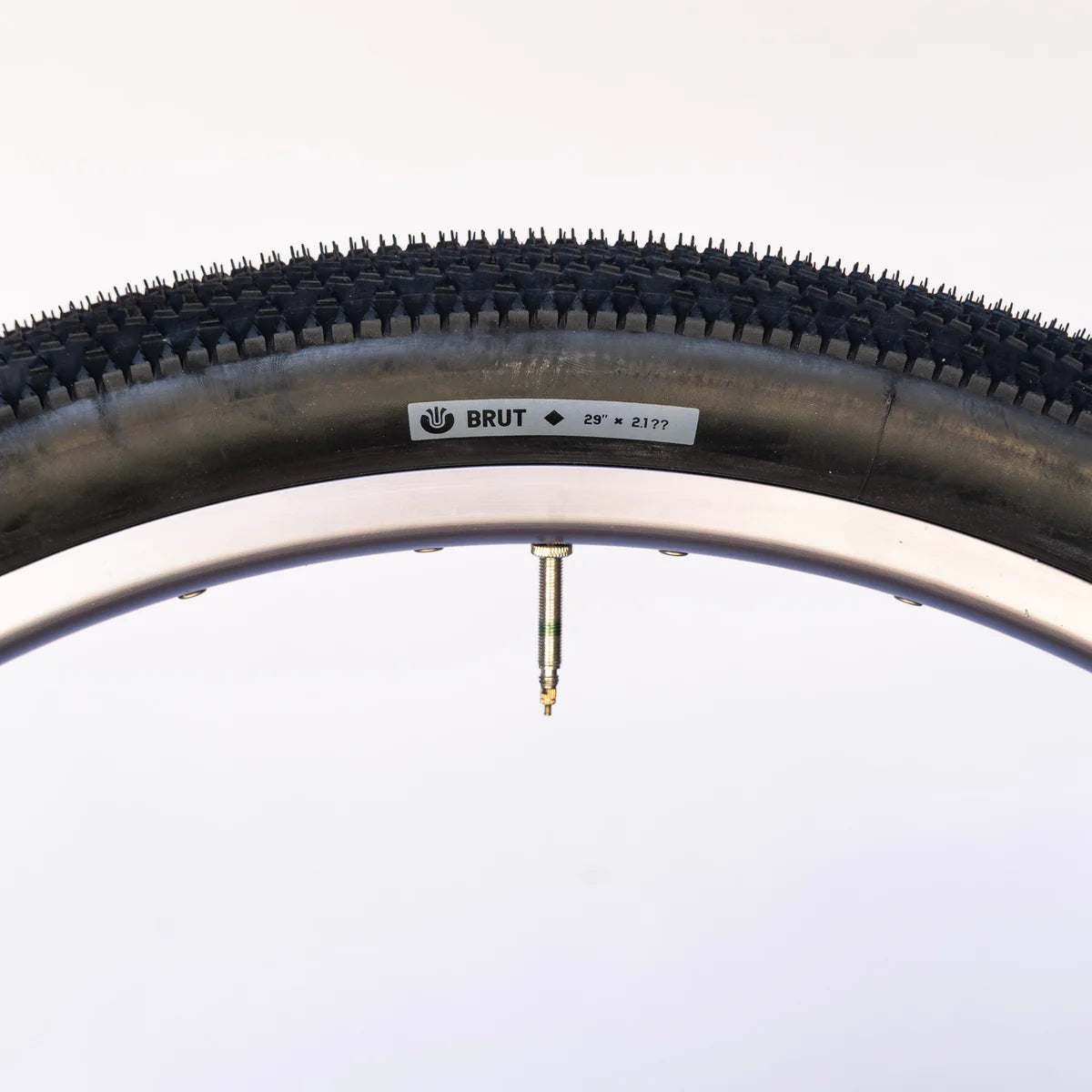 Ultradynamico Tire Brut Robusto