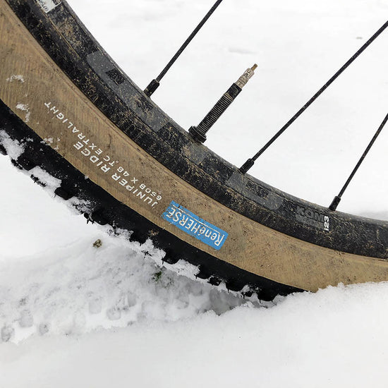 René Herse Juniper Ridge Tire TC 650 x 48B