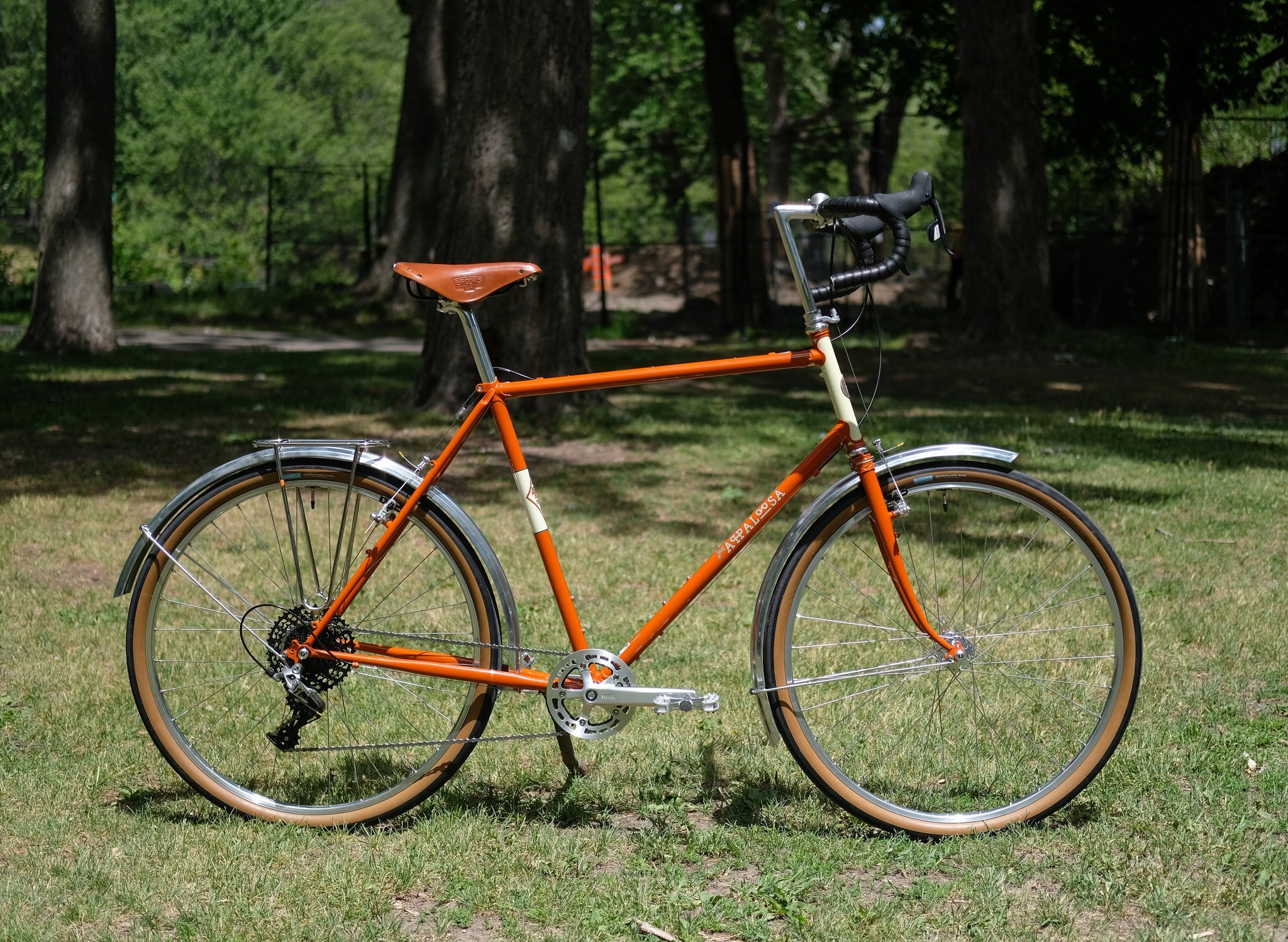A tall 'n' handsome Appaloosa – C&L Cycles