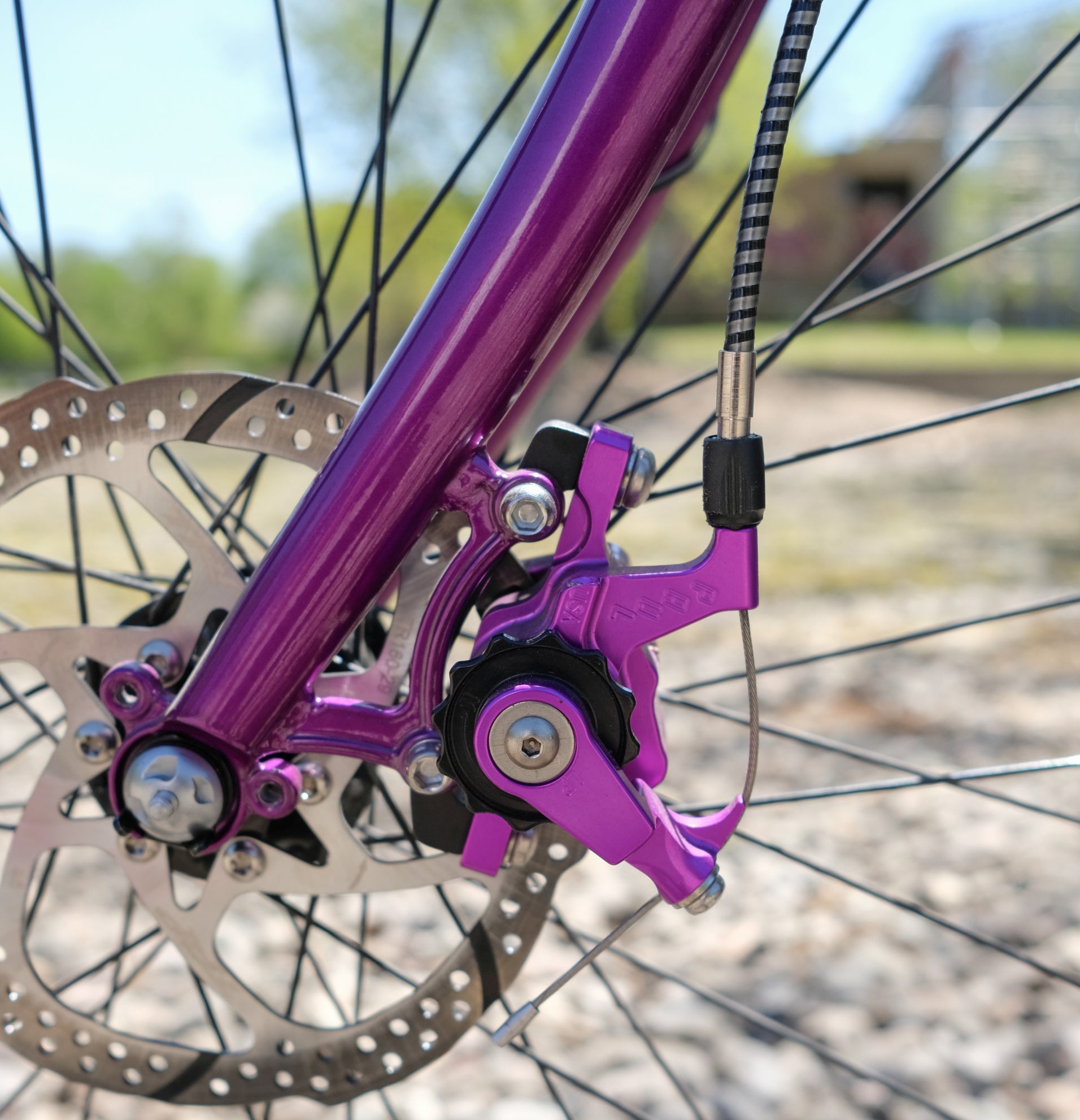 Hog's Back Mauve de Mike