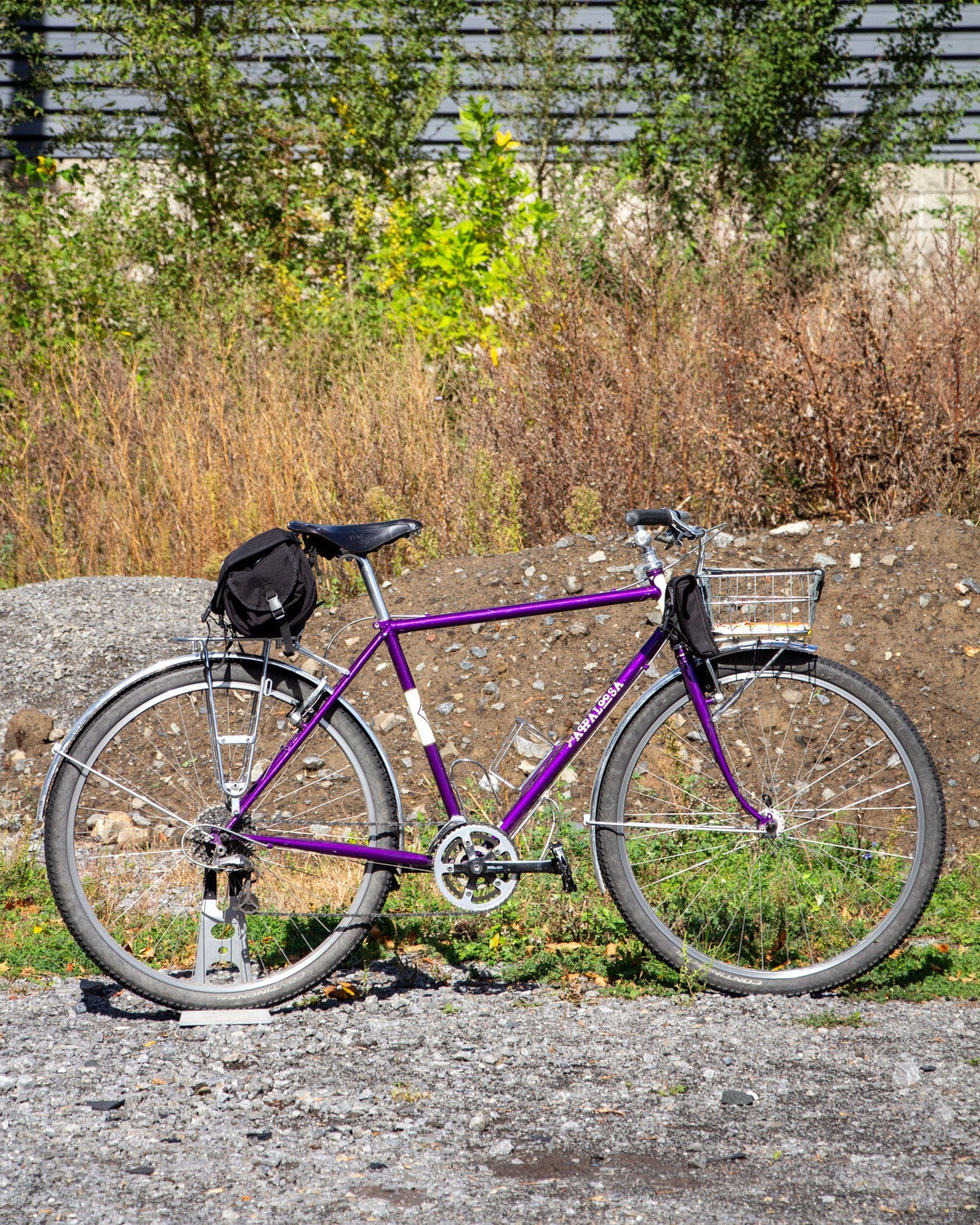 Roberto's 54cm Joe Appaloosa