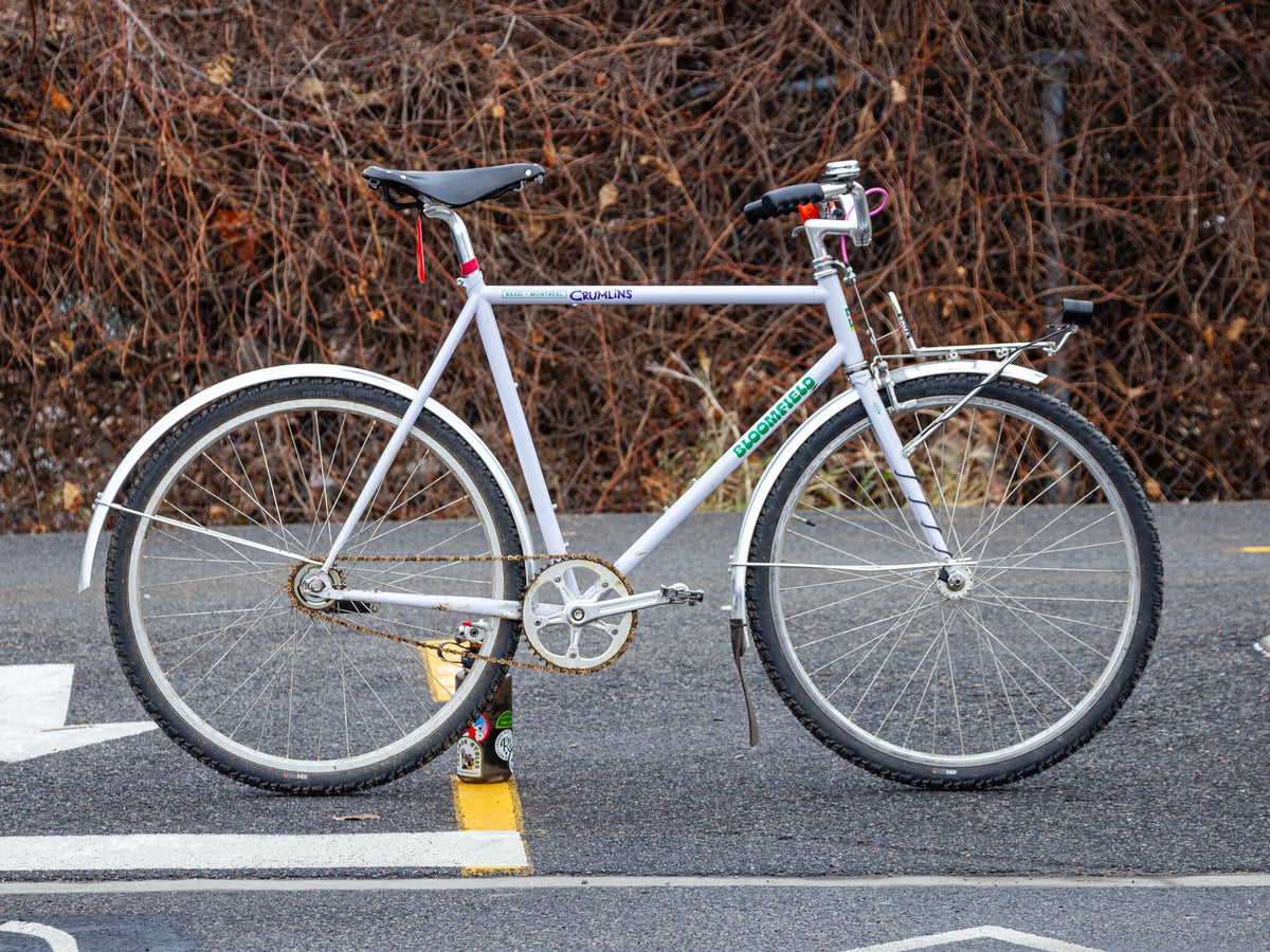 Bloomfield Winter Whip