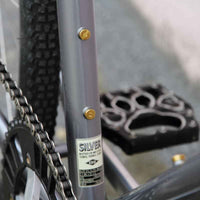 Blue Lug Brass Bolt