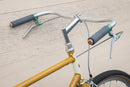 Cadre Rivendell Roaduno Singlespeed