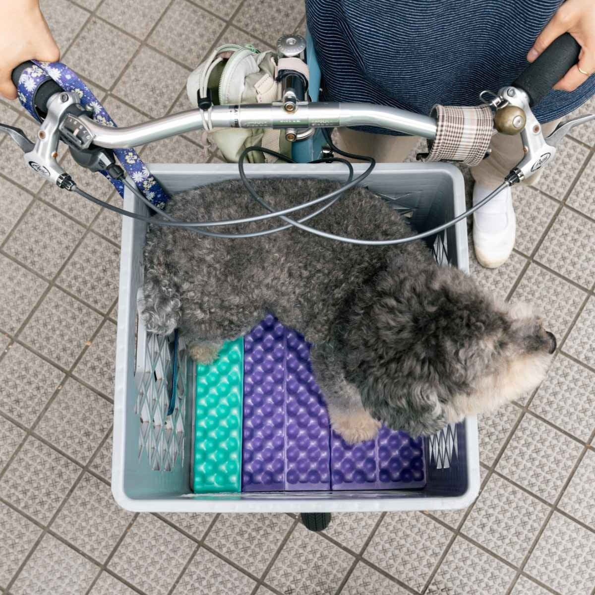 Blue Lug Puff Seat Basket Pad