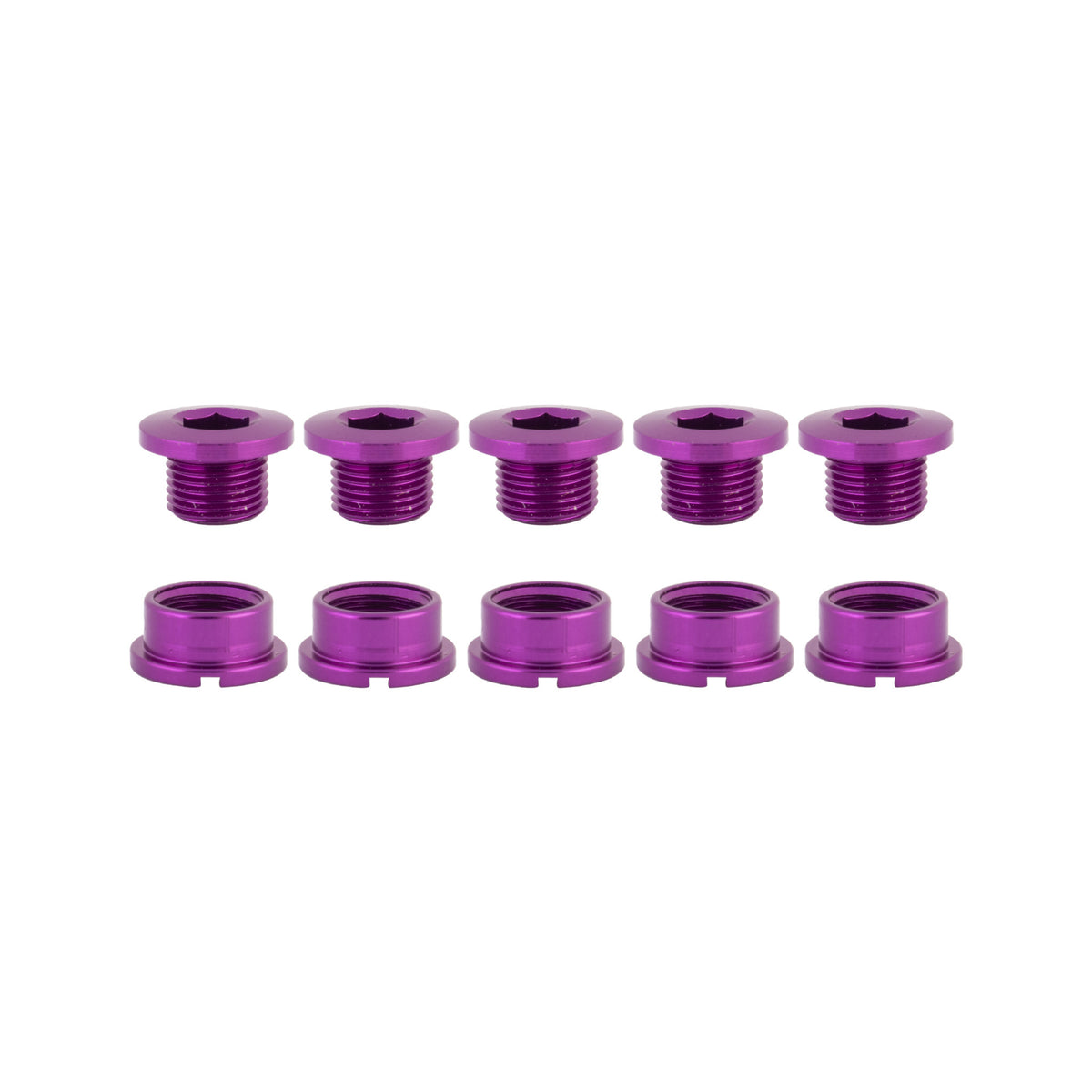 Mauve // Purple