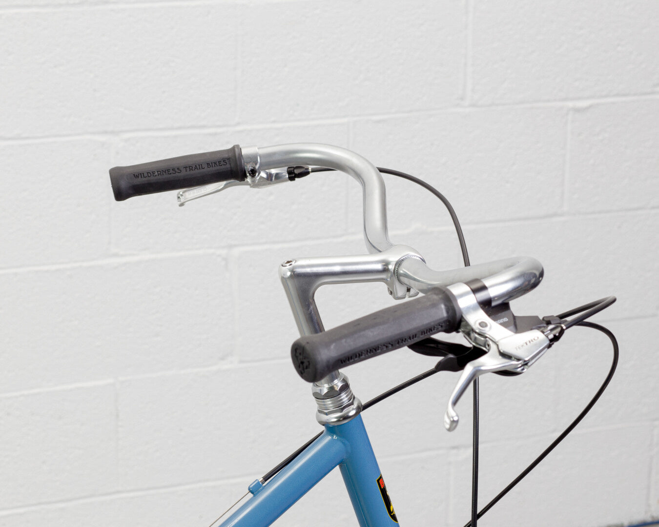 Bassi Rachel Rambler Complete Bicycle – C&L Cycles