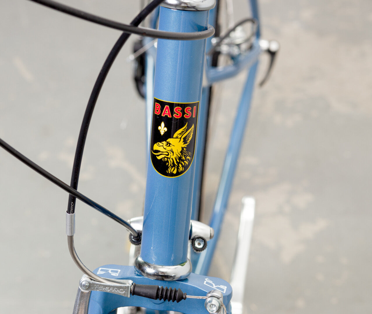 Bassi Rachel Rambler Complete Bicycle – C&L Cycles