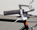 Bassi Montreal Villager Complete Cycle