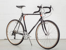 Bicyclette Complete Bassi Montreal V3 Randonneuse