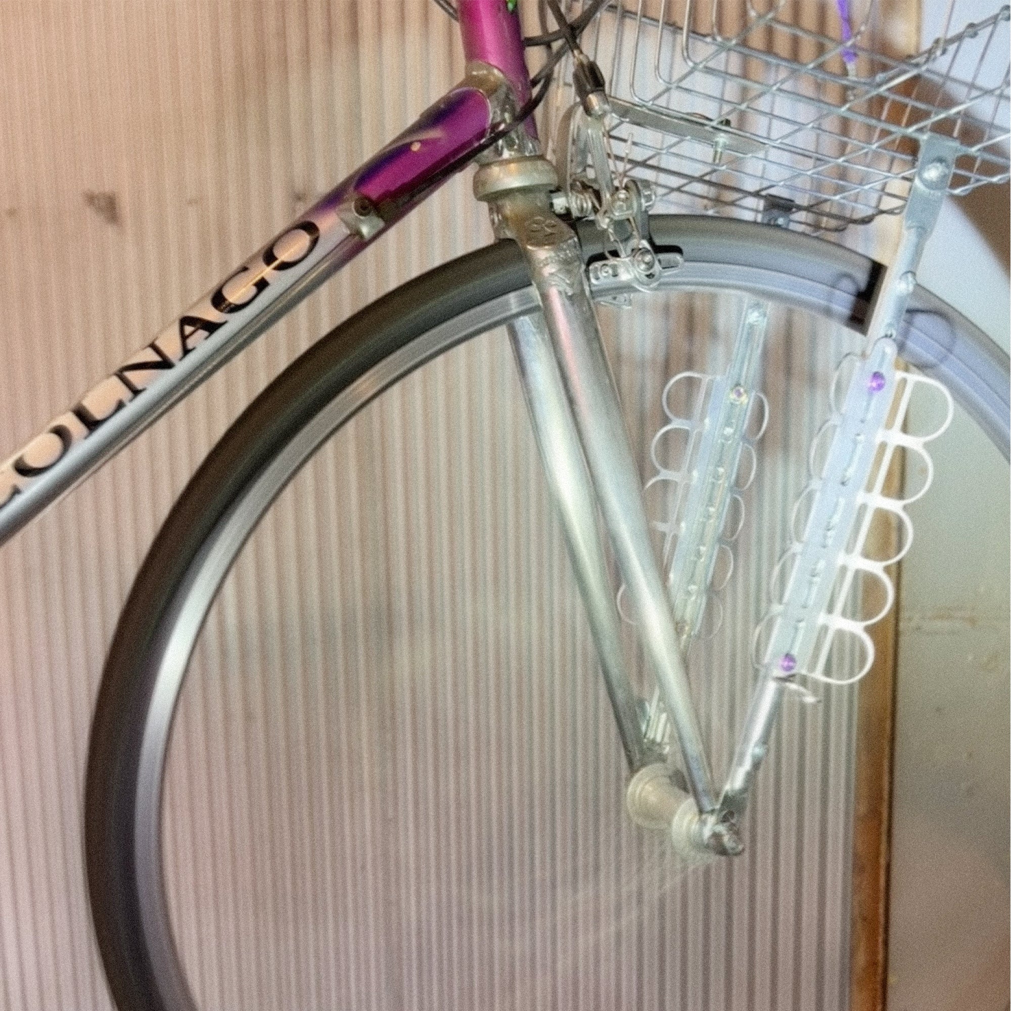 Botched Bikes Caterpillar Titanium Cargo Cage