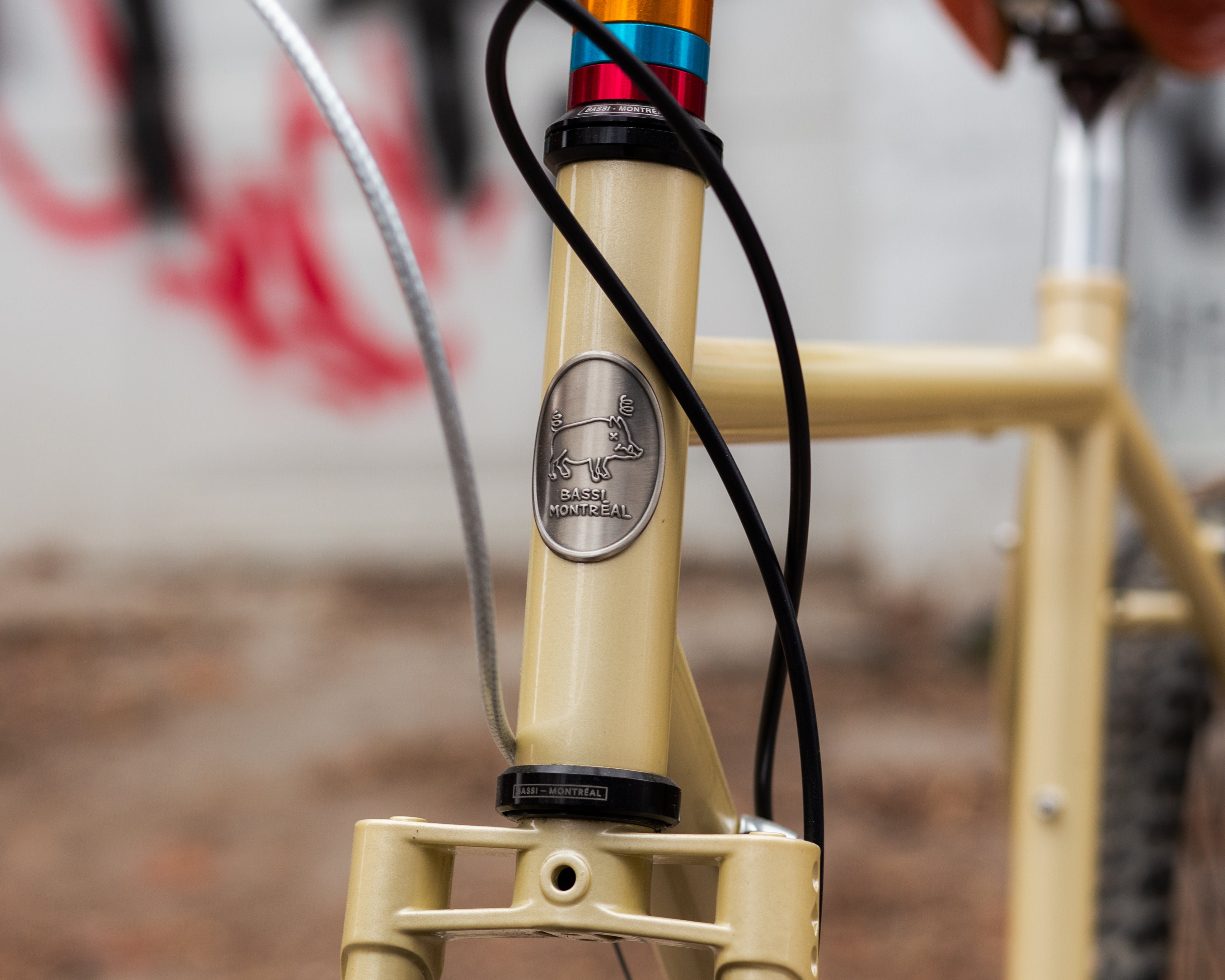 Vélo Complet sur mesure Bassi Hog's Back