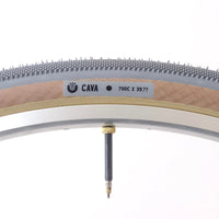 Ultradynamico Cava Race Tire