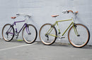Cadre Polyvalent Joe Appaloosa 