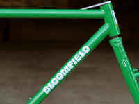 Bassi Bloomfield Frame & Fork V2 (2023)