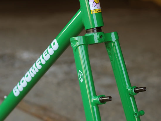 Bassi Bloomfield Cadre & Fourche V2