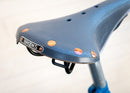 Selle Brooks B17 RBW Special