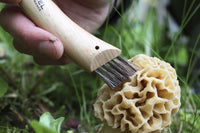 Opinel N°08 Folding Mushroom Knife