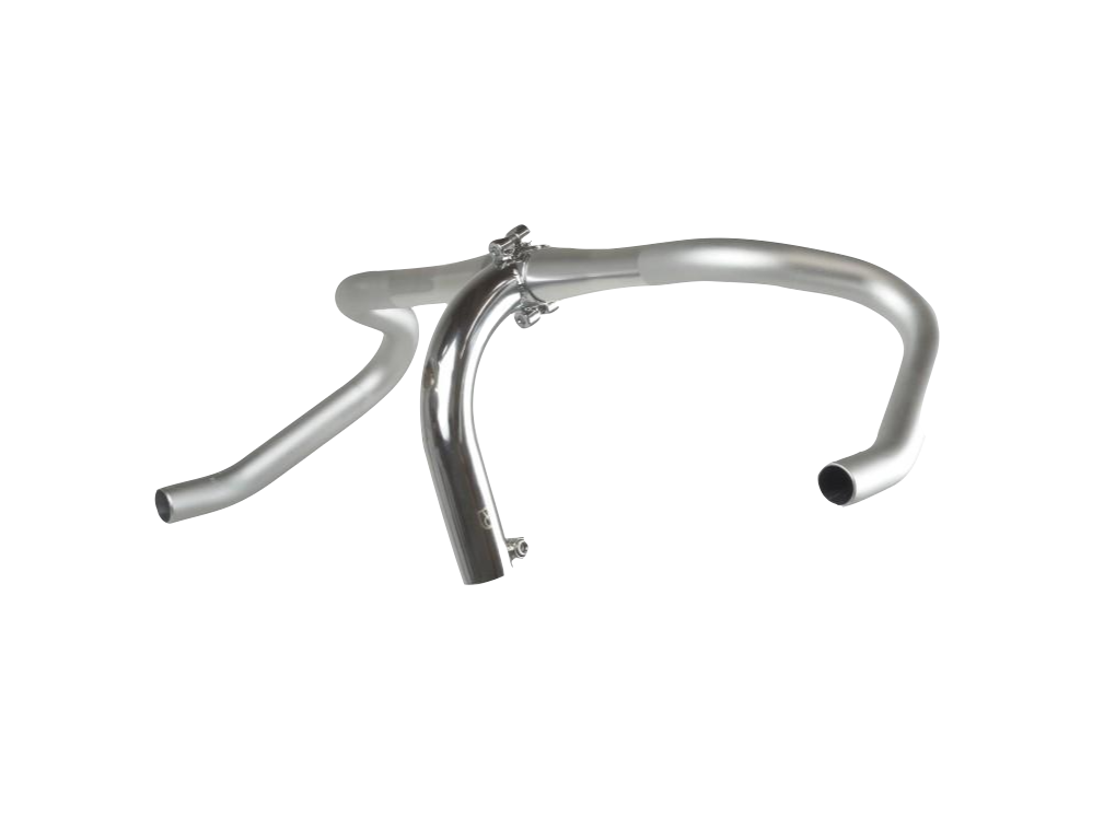 Cigne Stem