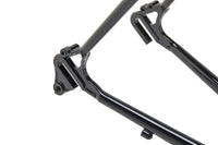 Bassi Montreal V3 Frameset