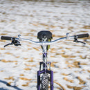 Velo Orange Crazy Bars Alloy