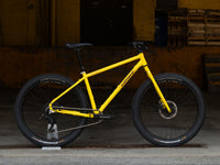 Bassi Coyote Complete Bicycle