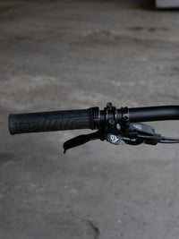 Bassi Coyote Complete Bicycle