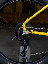 Bassi Coyote Complete Bicycle