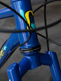 Bassi Coyote Complete Bicycle