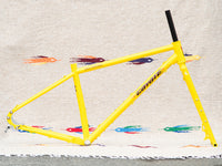 Bassi Coyote Frame and Fork