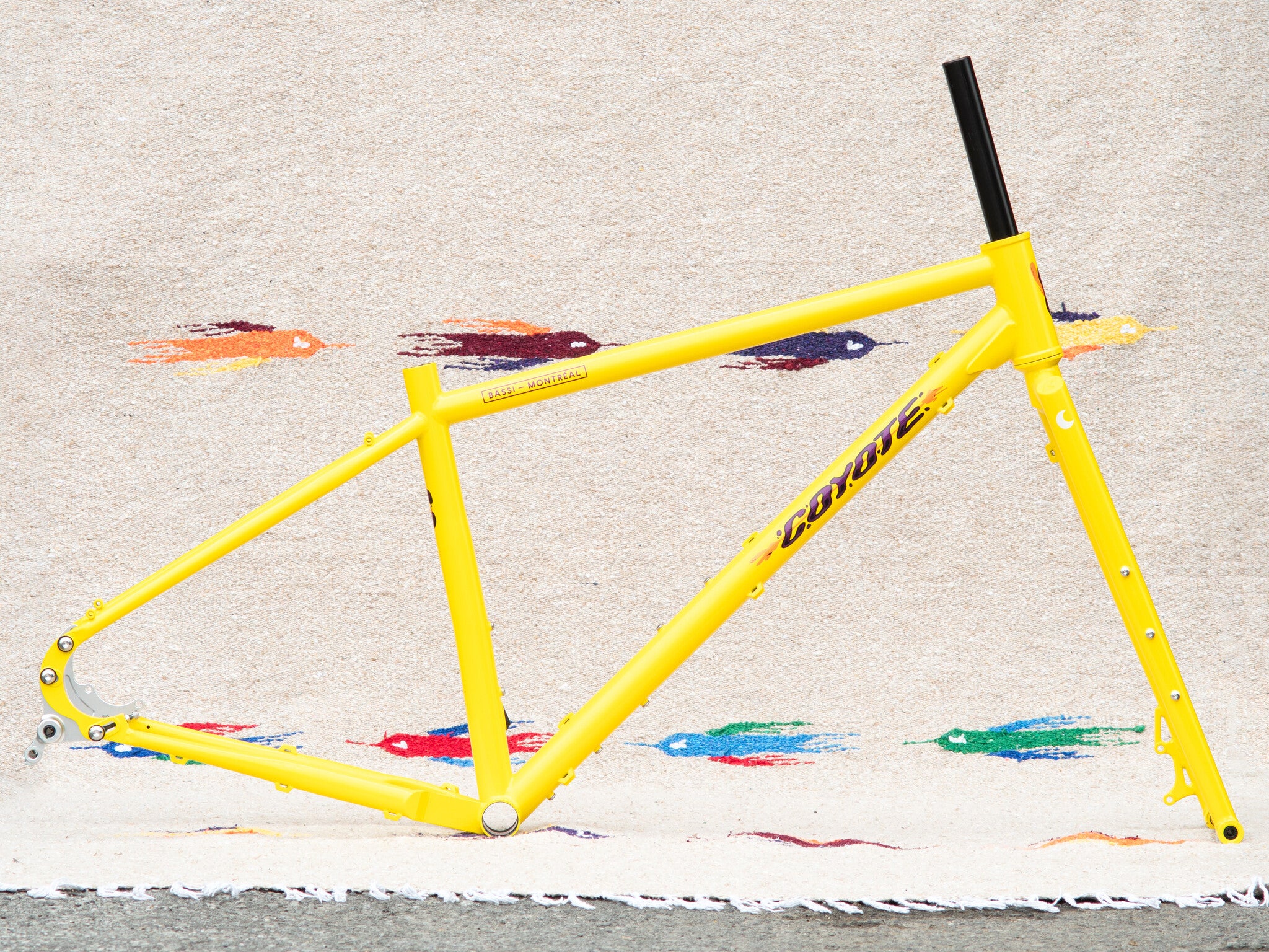 Bassi Coyote Frame and Fork