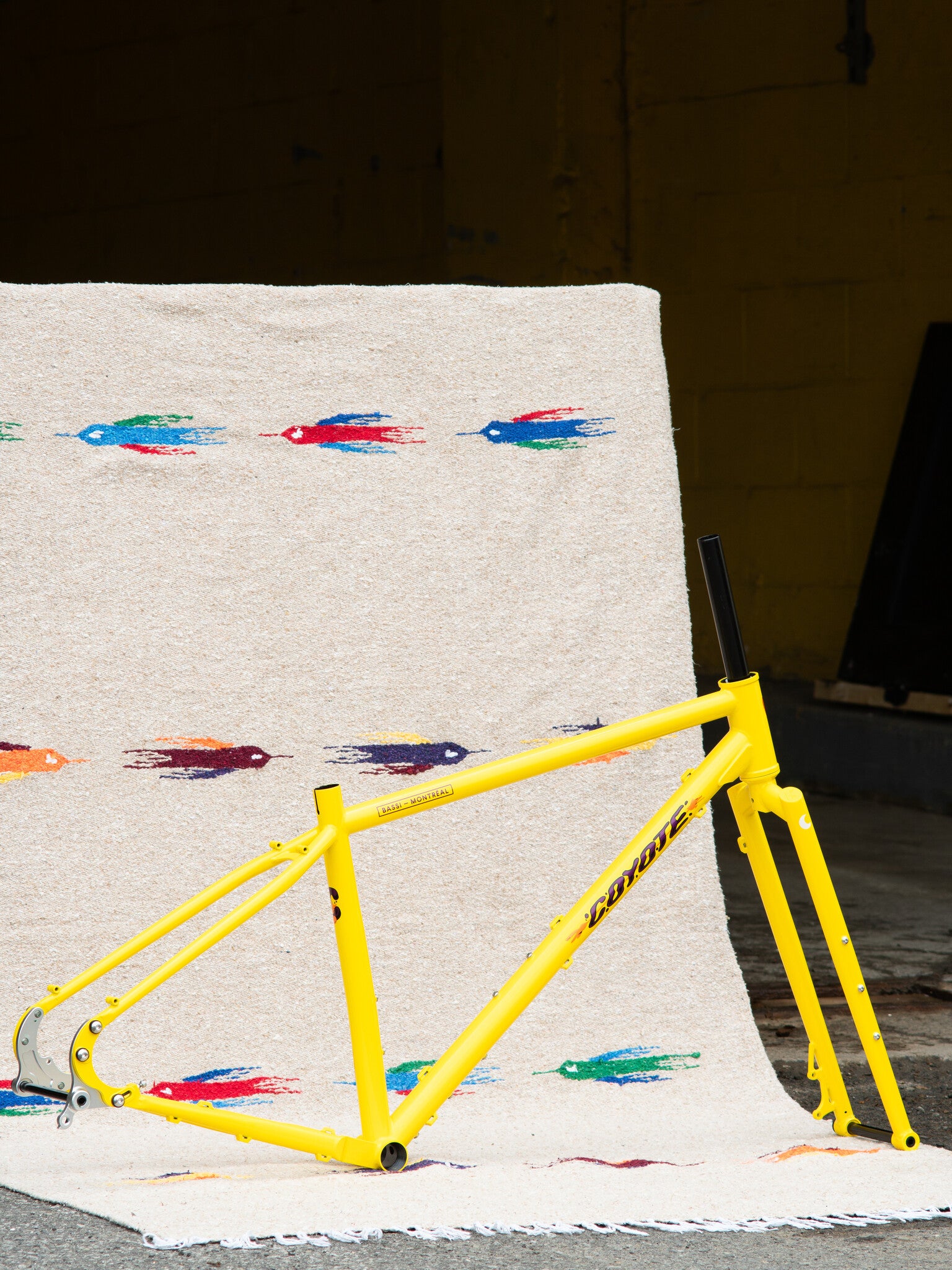 Bassi Coyote Frame and Fork