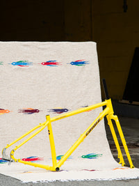 Bassi Coyote Frame and Fork