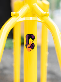 Bassi Coyote Frame and Fork