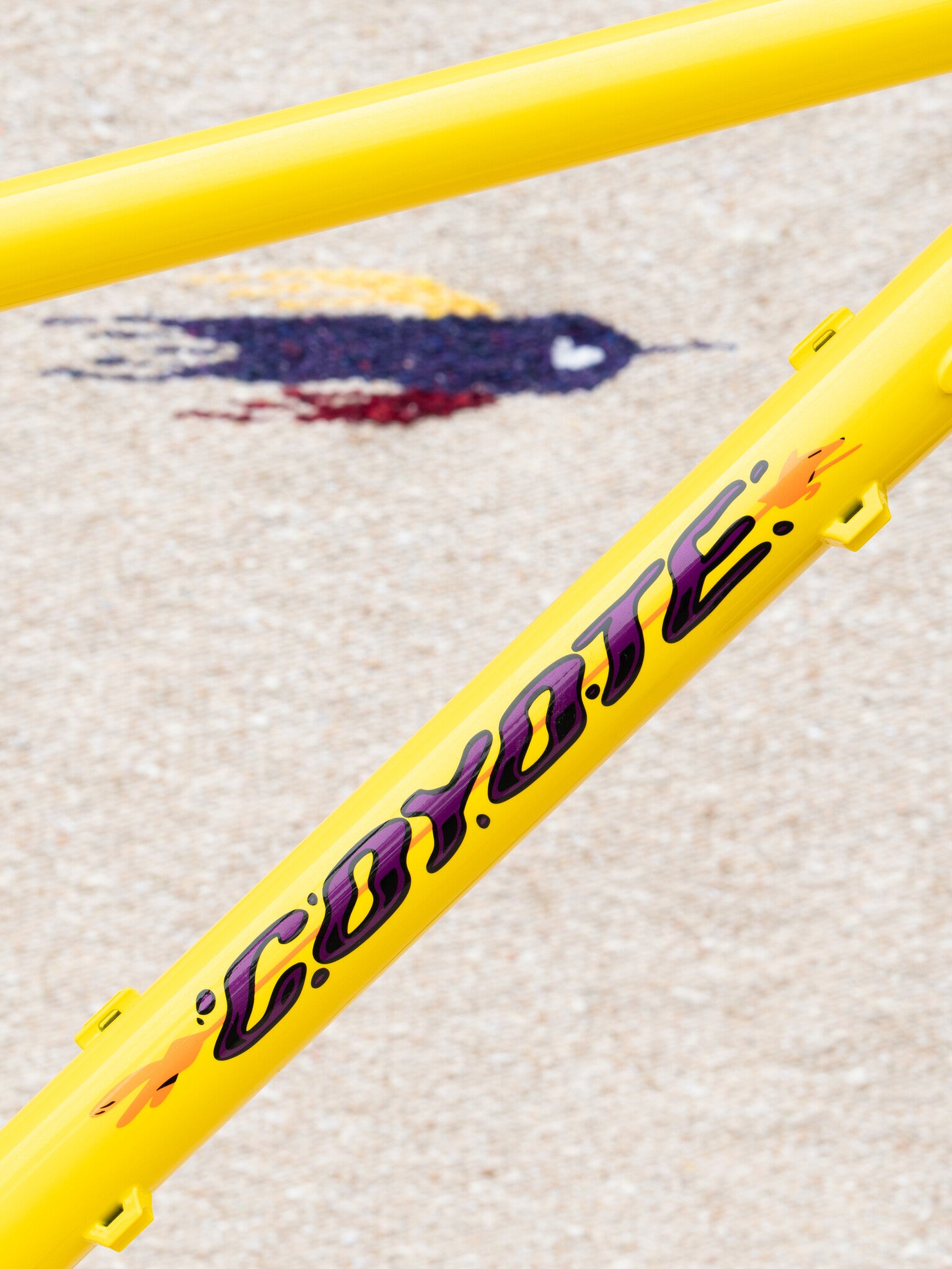 Bassi Coyote Frame and Fork