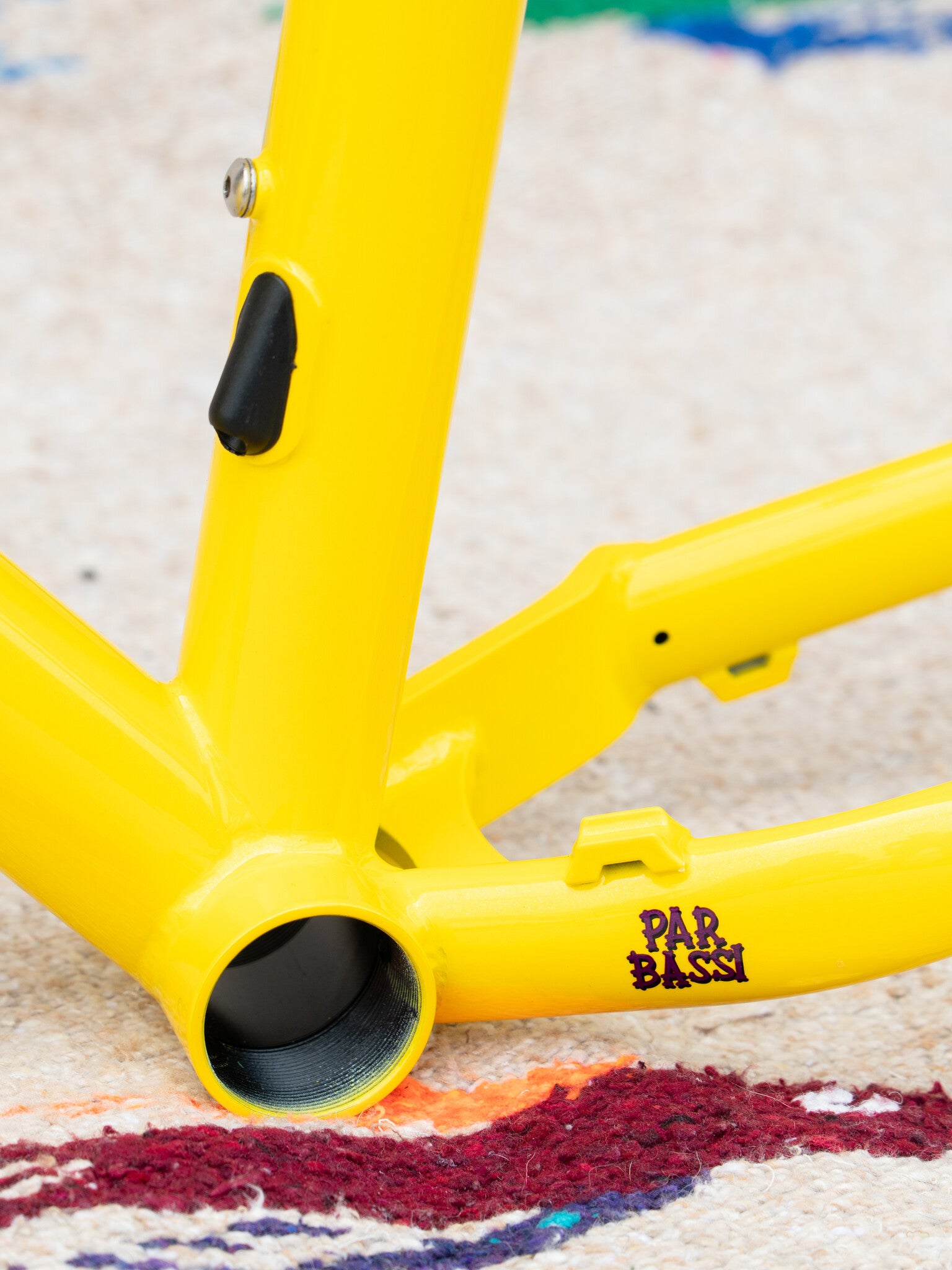 Bassi Coyote Frame and Fork