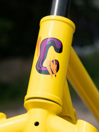 Bassi Coyote Frame and Fork
