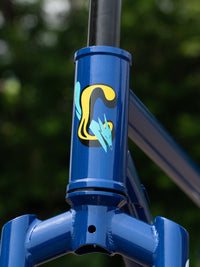 Cadre et Fourche Bassi Coyote