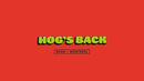 Bassi Hog's Back Frameset - 2023 Colours