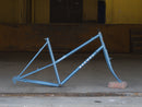 Bassi Rachel Frameset