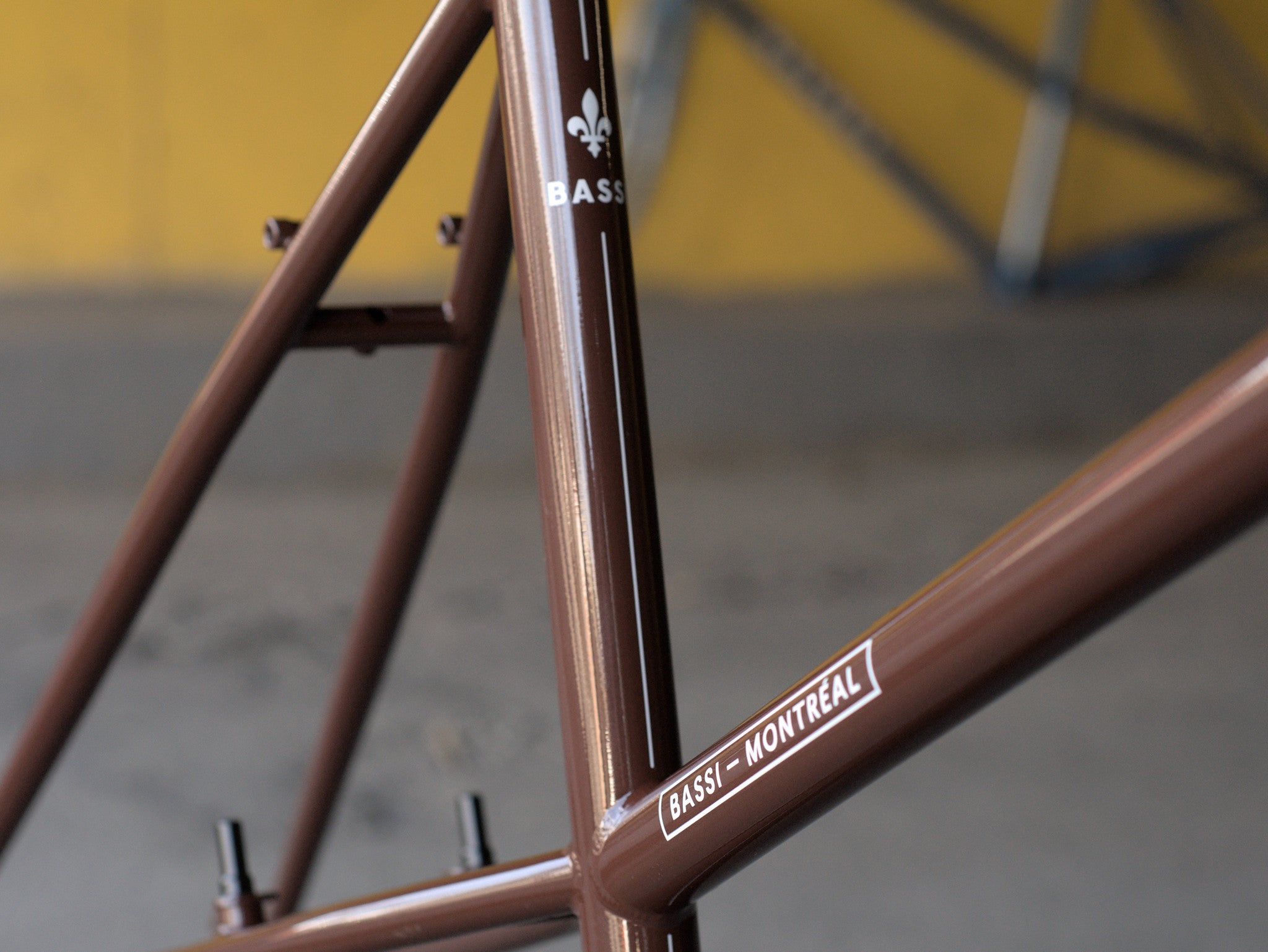 Bassi Rachel Frameset