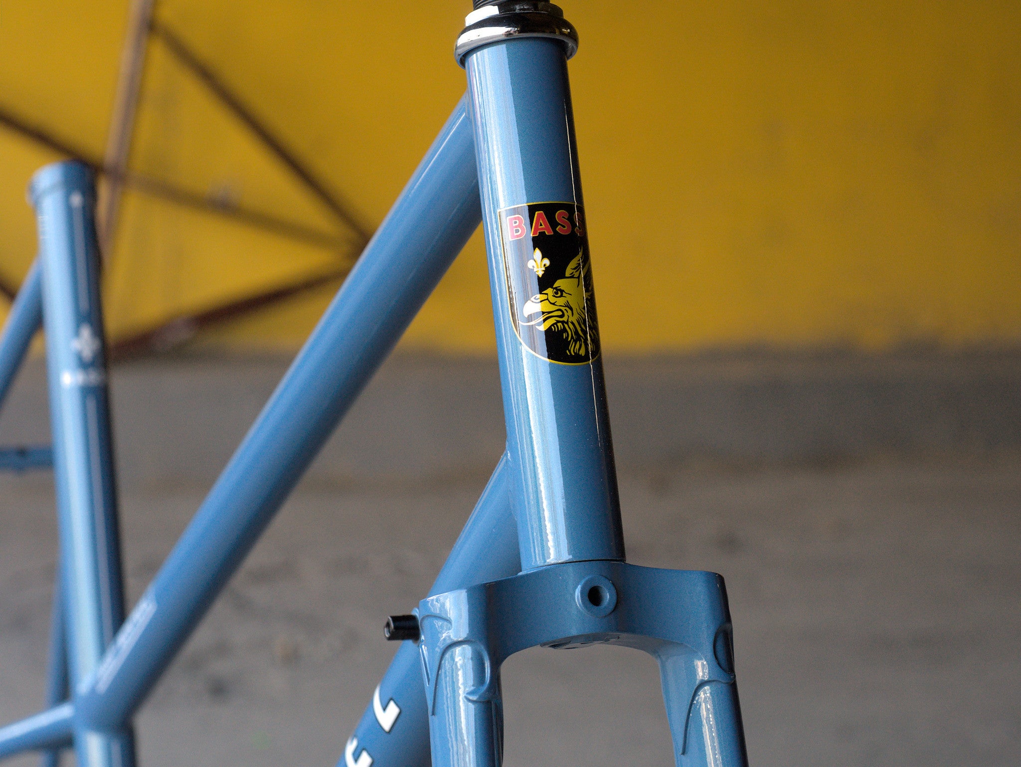 Bassi Rachel Frameset